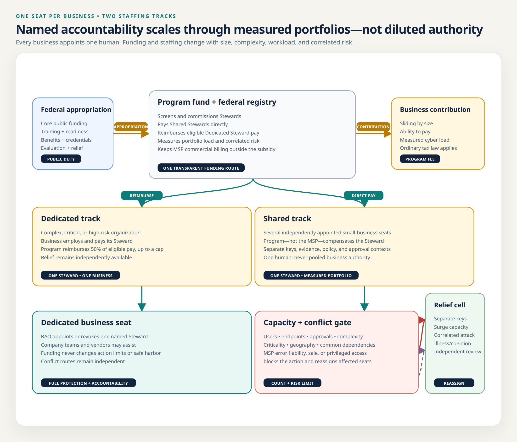 Dedicated and Shared Cyber Steward tracks showing one accountable seat per business, direct funding, portfolio limits, MSP conflict separation, and independent relief for correlated incidents.